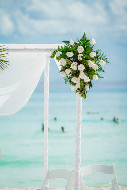 istock Wedding in the South, white roses. 1446246871
