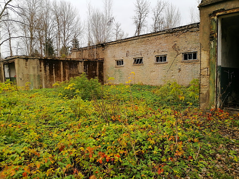 Old Soviet military. Outside of abandoned building. Partly demolished building. No windows and doors left. Building started to fall apart. Some trees growing nearby. Late autumn season. Zapalskiu branduoliniu galvuciu saugykla.