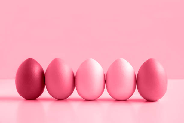 istock Easter banner with colorful Easter Egg in a row on white table and viva magenta background. Above view with copy space. Easter decorated eggs frame. Happy Easter card. Side view, flatlay. 1446253504