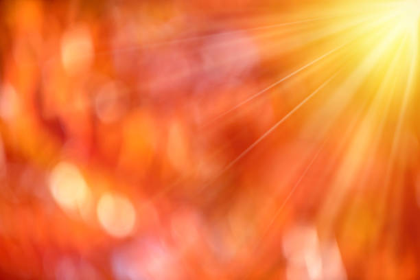 Abstract blurred autumn background with bokeh for designs. Sun in the blurry red leaves background.