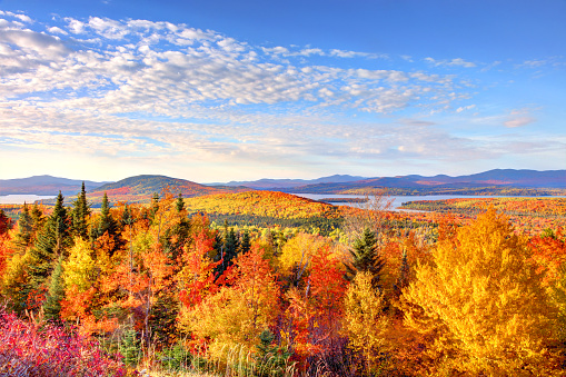 Rangeley is a town in Franklin County, Maine, United States. Rangeley is the center of the Rangeley Lakes Region, a resort area.