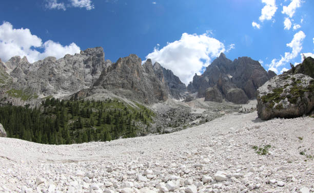 scree of white stones in the middle of the italian alps in summer - scree imagens e fotografias de stock