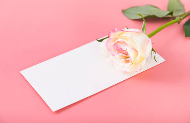 istock Roses and envelopes against a pink background 1446272324