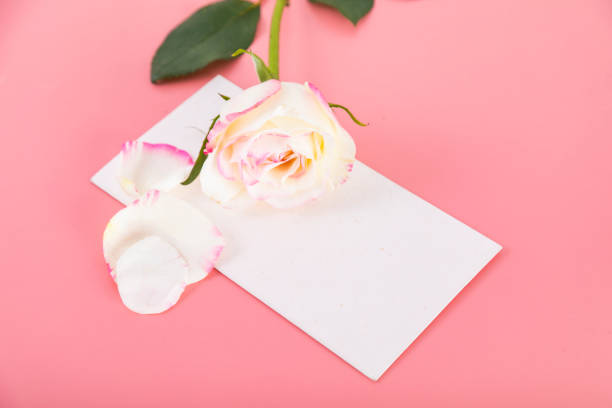 istock Roses and envelopes against a pink background 1446272331