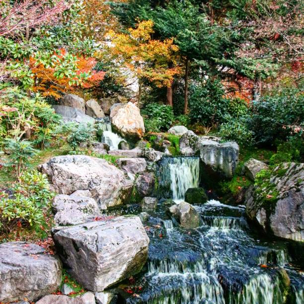 istock Beautiful shot of small cascade waterfall surrounded by fall foliage 1446273423