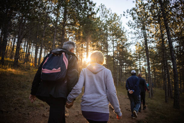 istock Group of Caucasian people, hiking through forest 1446273562