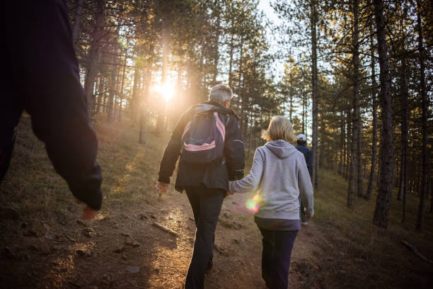 istock Group of Caucasian people, hiking through forest 1446273578