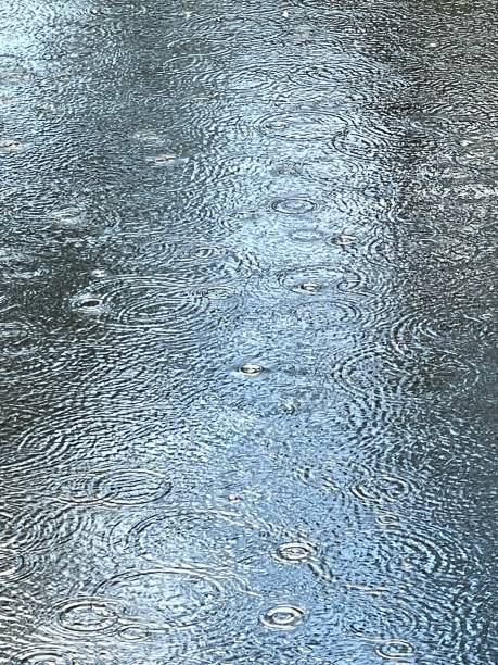 istock Ripples on the water 1446273660
