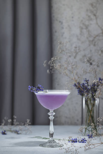 elegante copo de coquetel de lavanda ou mocktails cercados por ingredientes e flores frescas de lavanda e gypsophila na superfície da mesa cinza - 6139 - fotografias e filmes do acervo