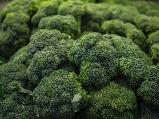 closeup photo of broccoli vegetable closeup photo of broccoli vegetable cruciferous vegetables stock pictures, royalty-free photos & images