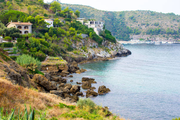 istock Summer by the sea in Palinuro 1446280632
