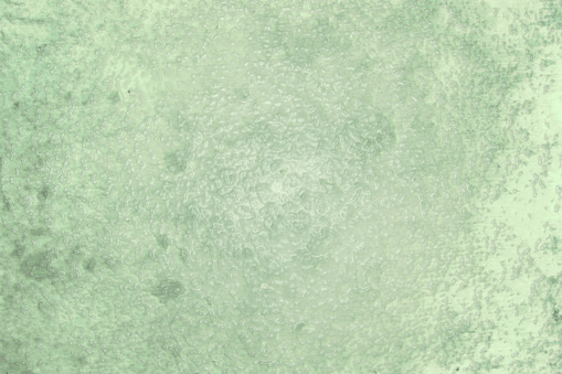 Blurred soft leather texture and green abstract pattern.