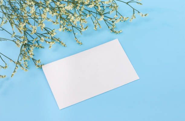 istock Flowers and greeting cards against a blue background 1446285759
