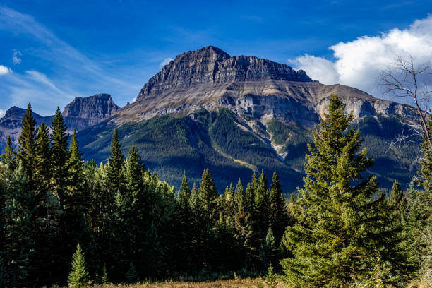 istock Hillsdale Meadows Banff National Park Alberta Canada 1446286527