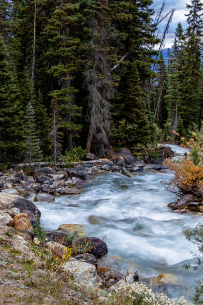 istock Lake Louise Banff National Park Alberta Caanda 1446287527