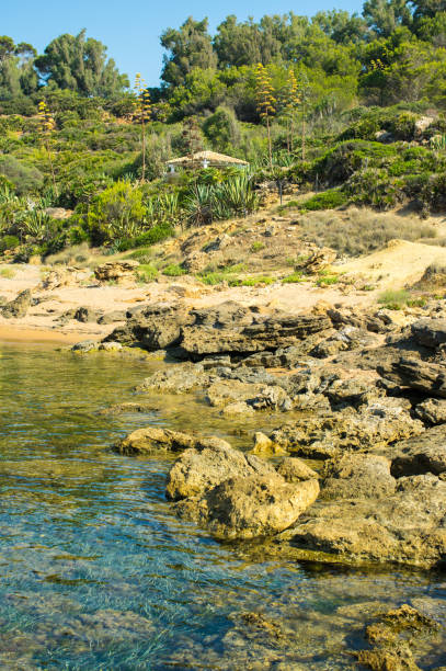 istock Spiaggia di Selinunte 1446287717