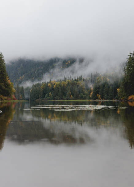 istock Foggy Autumn Morning On A Lake - Vertical 2 1446289725