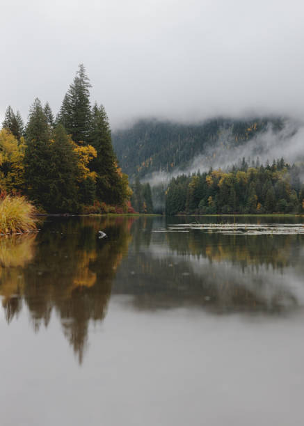 istock Foggy Autumn Morning On A Lake - Vertical 1446289730