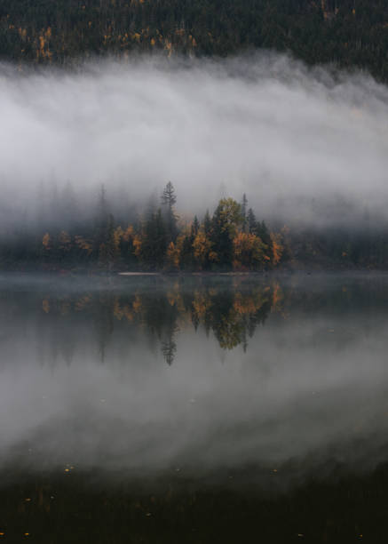 istock Foggy Autumn Morning On A Lake - Vertical 5 1446289789