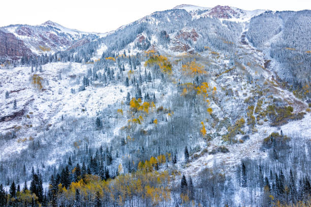 Maroon Bells Rocky Mountain ridge morning in fall autumn yellow foliage on trees with winter snow in Aspen, Colorado