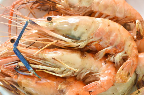 istock grilled river shrimp arranging with fresh lettuce dipping spicy sauce 1446295644
