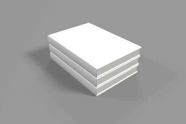 istock Realistic 3d book mockup illustration with 3 hard covers. Book mockup standing on isolated gray background with shadow. 3 hardcover books. 1446307456