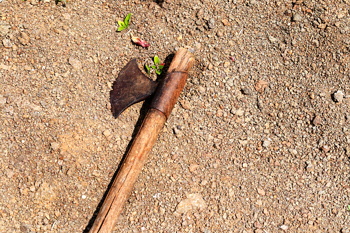 Old rusty axe or Axe in a log, closeup in India Gujarat