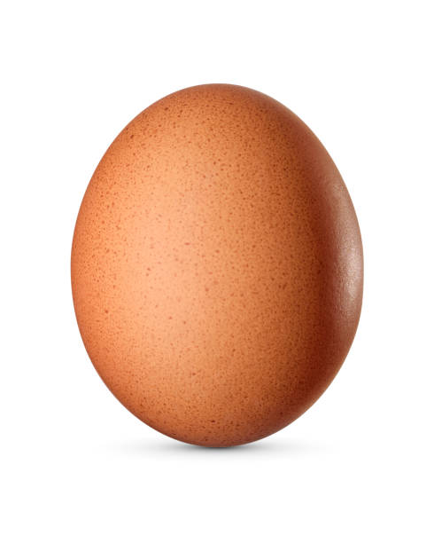 istock One brown chicken egg isolated on white background. 1446312956