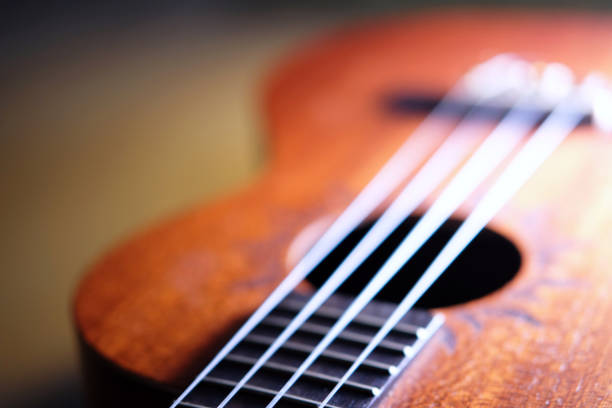 istock Closeup of ukulele with selective focus 1446312962