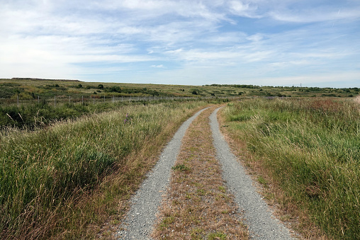 A single-track road on a summer’s day in a nature reserve in Essex, England.