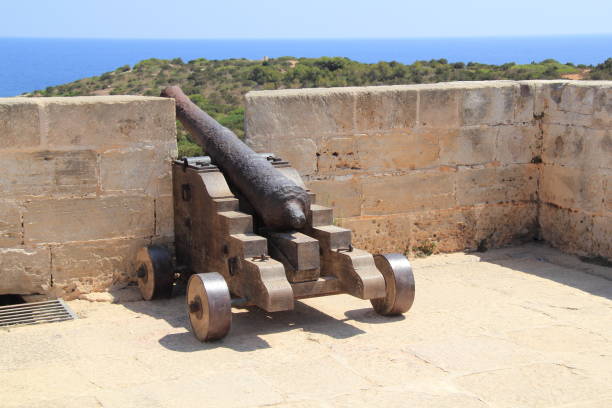 istock an old cannon on the coast 1446317696