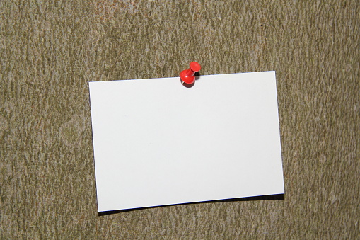 Pin-up of blank business card on cork board .