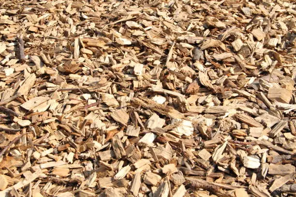 Photo of Wood chips as a background