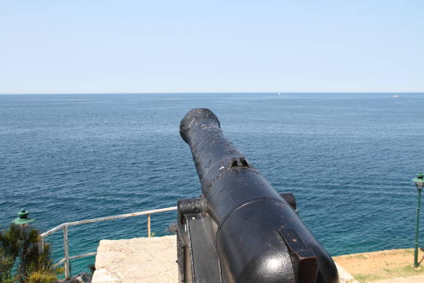 istock an old cannon on the coast 1446318086
