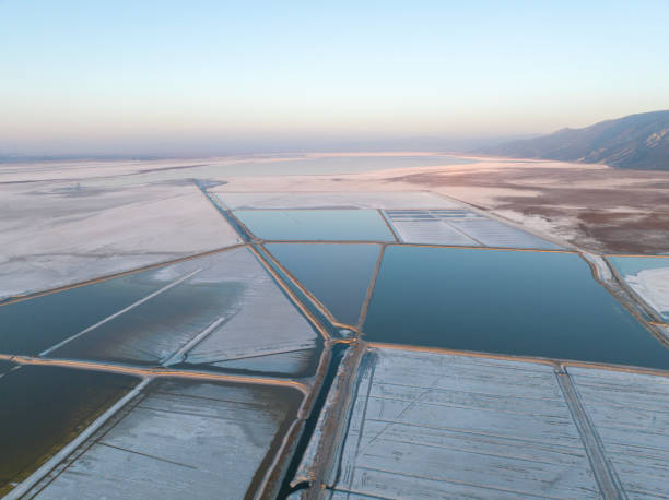 istock Aerial View of Salt Ponds 1446323703
