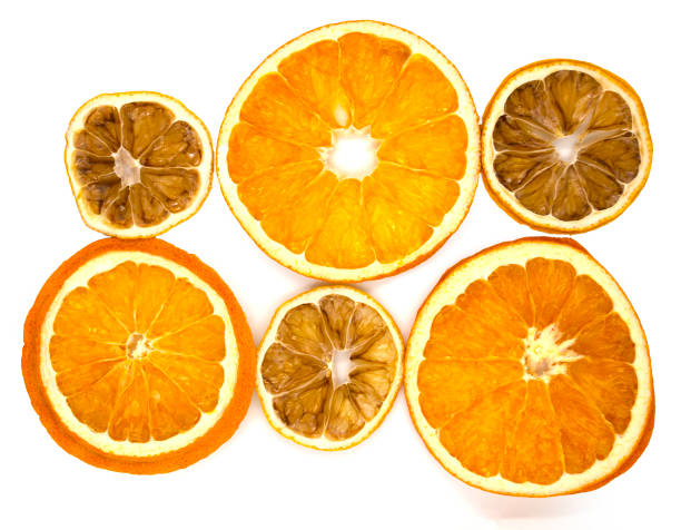 istock Dried orange and lemon slices. 1446324276