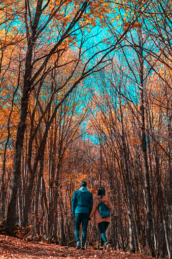 In the autumn season, the beloved couple is having a good time together. They spends a quiet time among the yellowed leaves. Shot with a full frame camera.