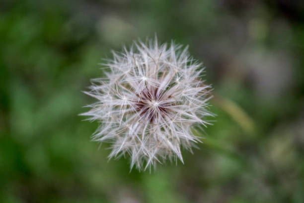 lla Icho Cruz, sierra de Cordoba, Argentina