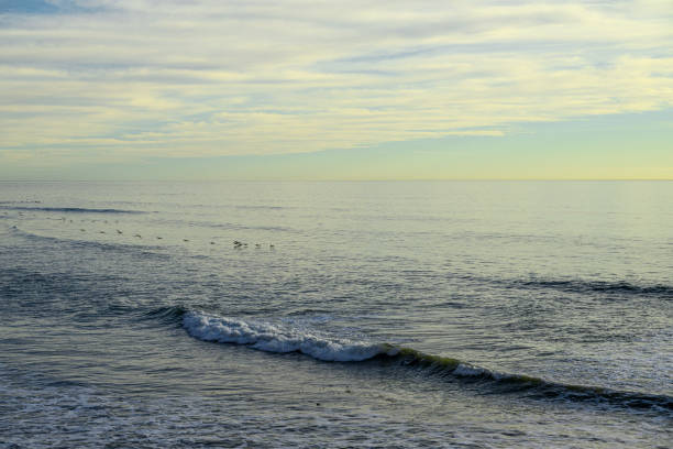 istock Ocean View From Beach Off California Coast 1446330062