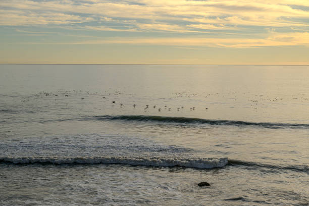 Ocean view from sandy beach, off the California Coast, with clouds in the background.Taken from Scotts Creek, California, USA