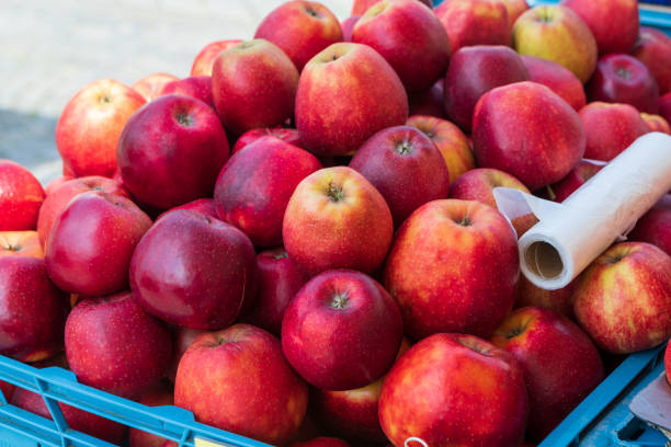 istock Red apples stacked on a market counter. 1446330308