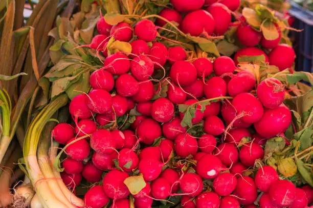 Photo of Red-small radishes stacked on the counter