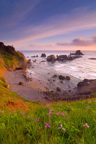 istock Sunrise over Ecola State Park, Oregon coast, USA 1446335723
