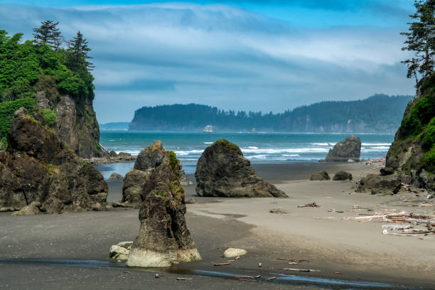 istock Ruby Beach, Olympic National Park, Washington, USA 1446335726