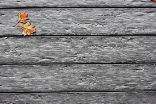 A grey wooden deck with fallen leaves.