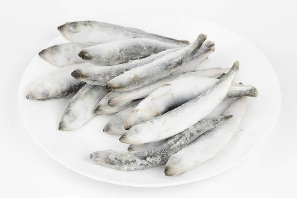 istock Whole frozen wild sea herring isolated on white background. 1446338344