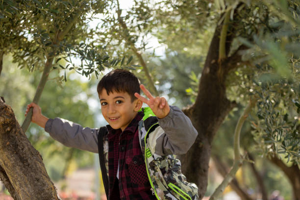 istock Boy climbing tree in woodland. 1446339649
