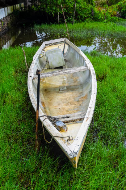 istock Boat standing on the river against green forest in the background. 1446339727