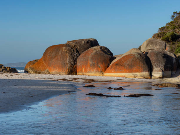 istock Colourful boulders with orange lichen 1446344537
