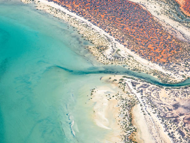 istock Abstract aerial of sand and water patterns 1446344576